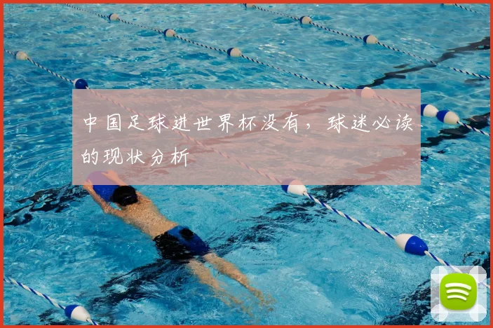 中国足球进世界杯没有，球迷必读的现状分析