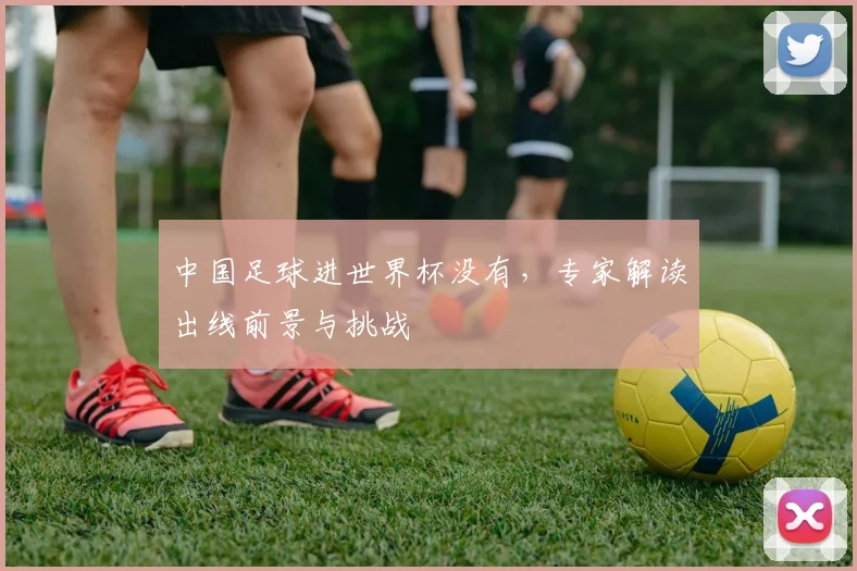 中国足球进世界杯没有,专家解读出线前景与挑战