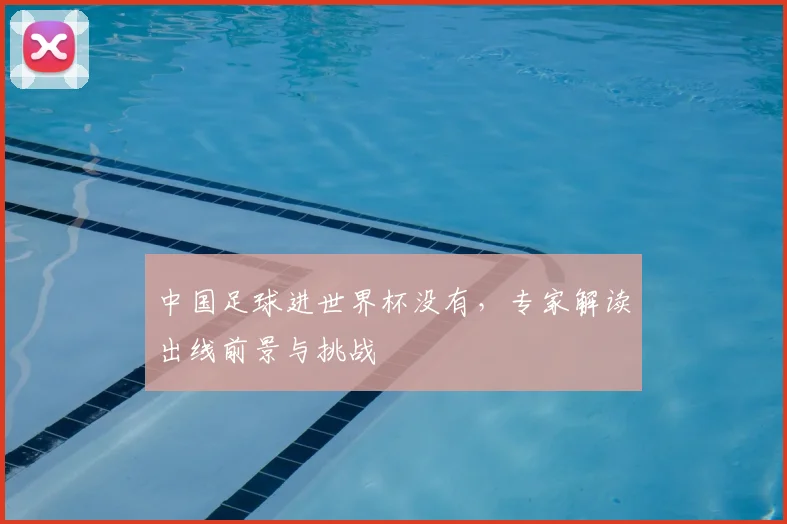 中国足球进世界杯没有,专家解读出线前景与挑战