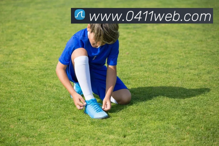 开云app官方入口网页版APP 封面图